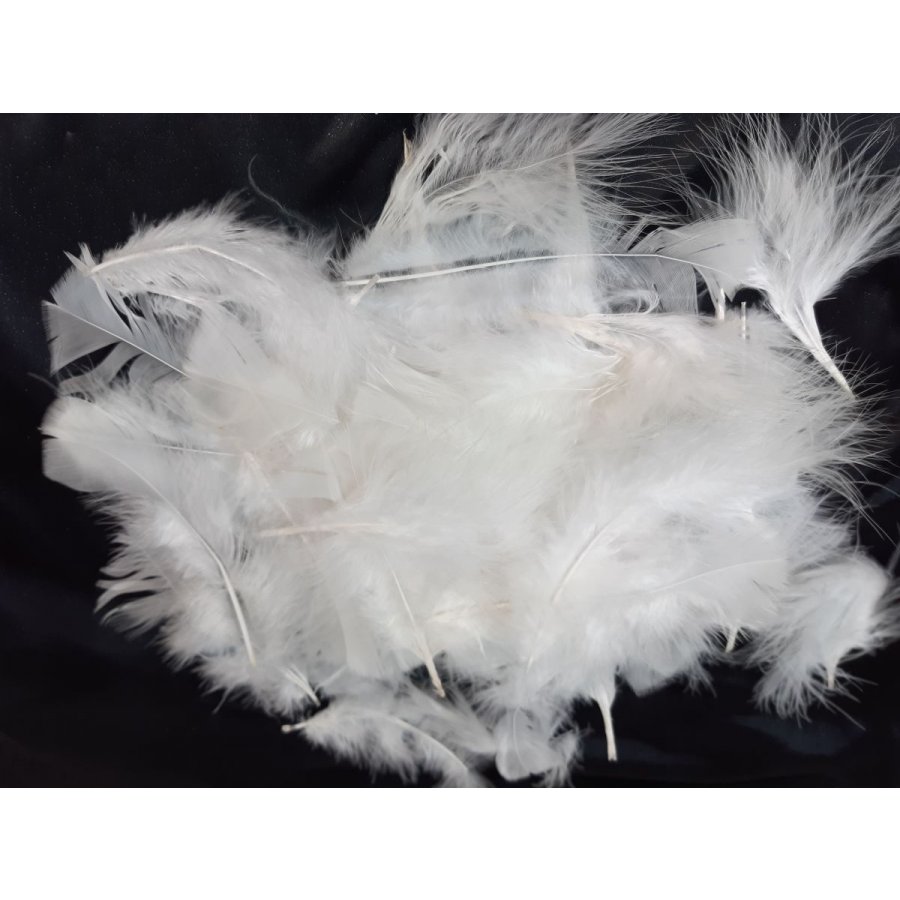 Plumes de marabout coloris blanc lot de 50