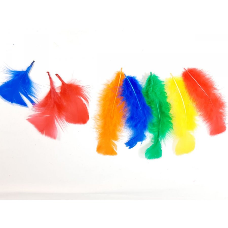 Plumes multicolres ( rouge, jaune, vert, bleu, orange)