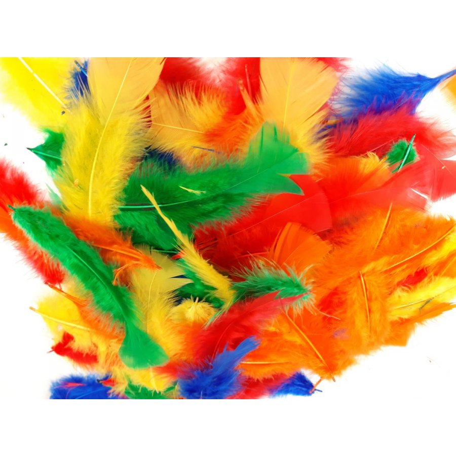 Plumes multicolres ( rouge, jaune, vert, bleu, orange)