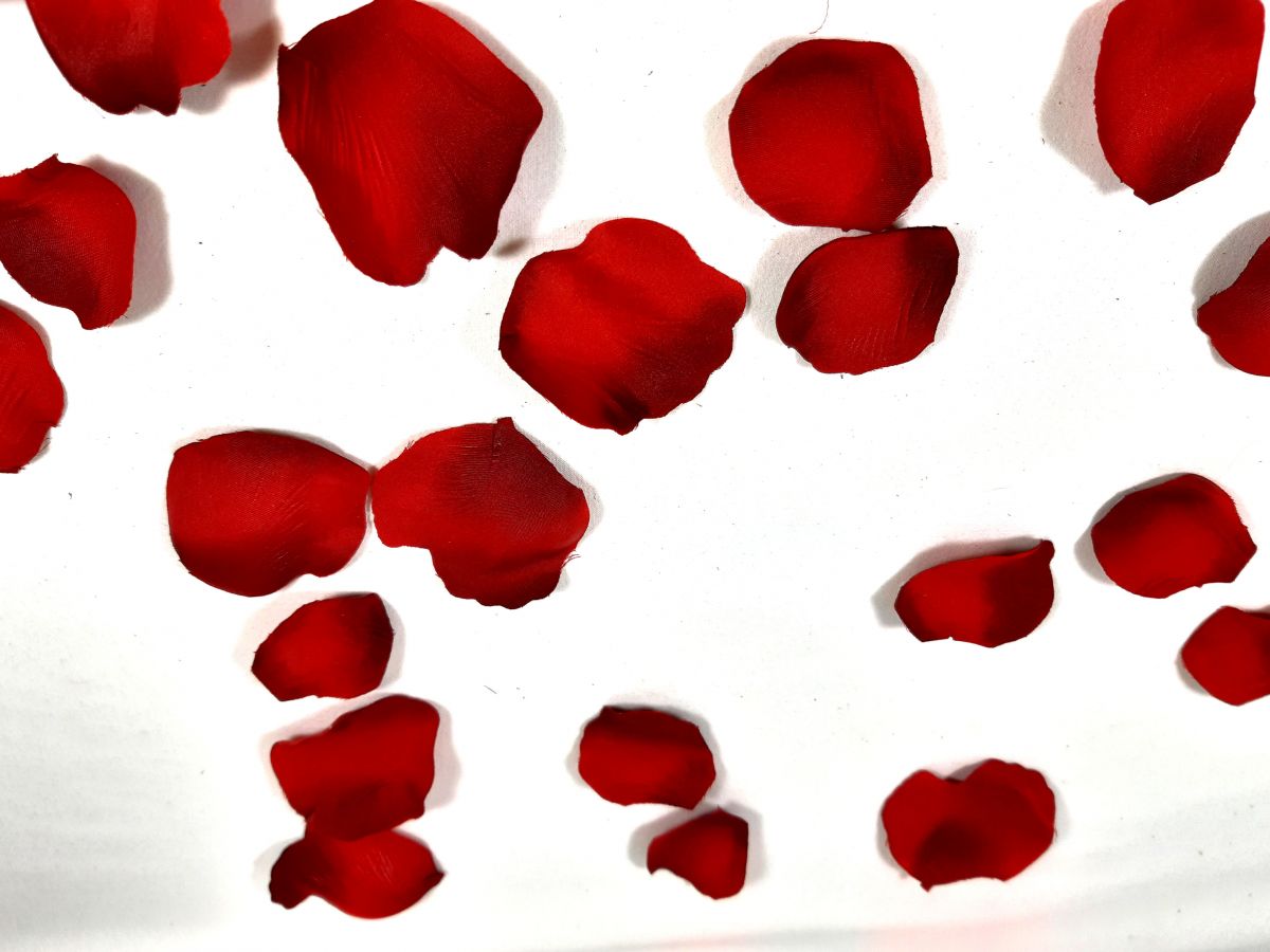 Pétales de rose tissu cloris rouge flammé
