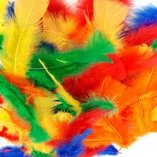 Plumes multicolres ( rouge, jaune, vert, bleu, orange)